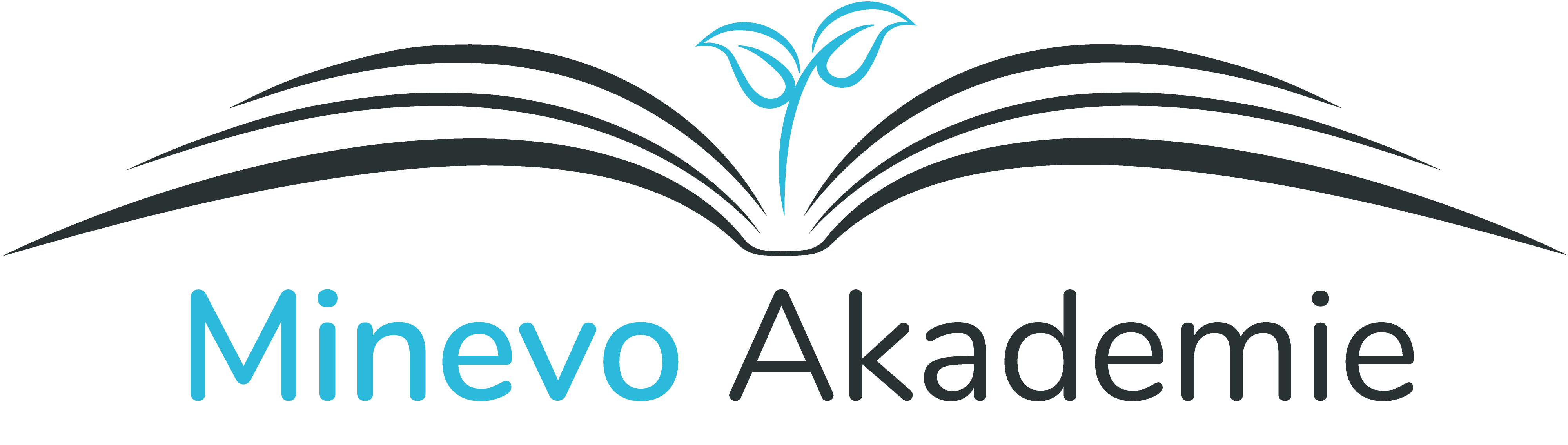 logo Minevo Akademie