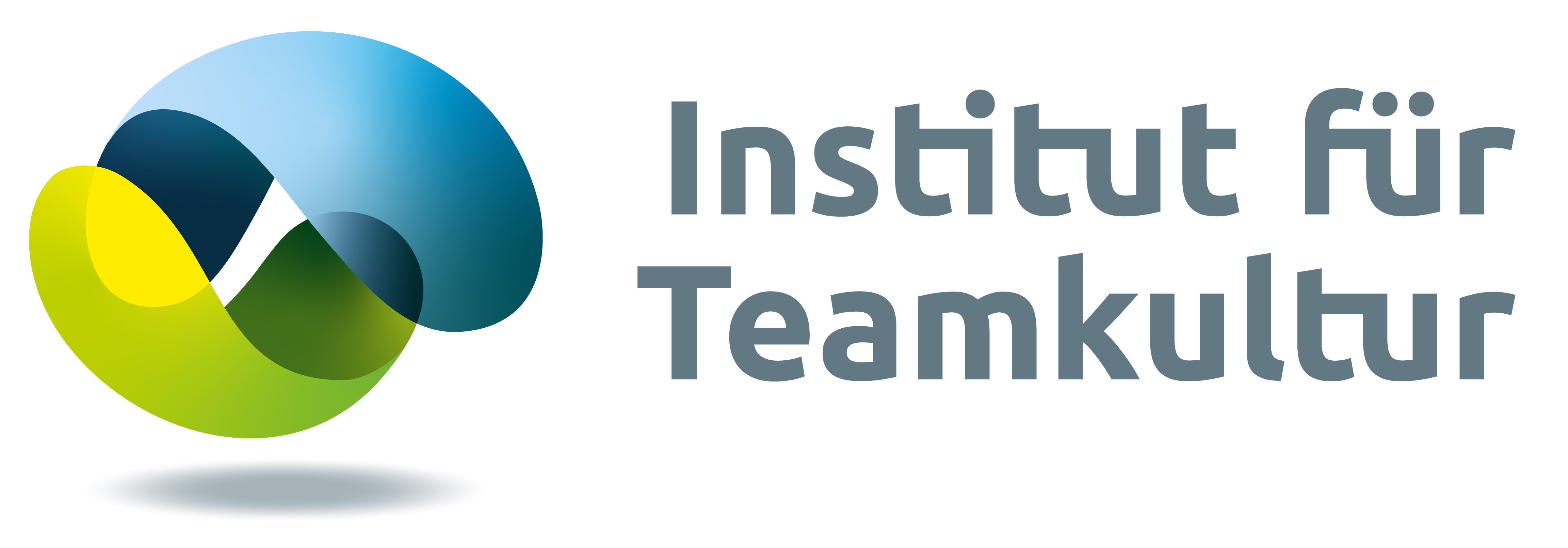 logo Institut für Teamkultur