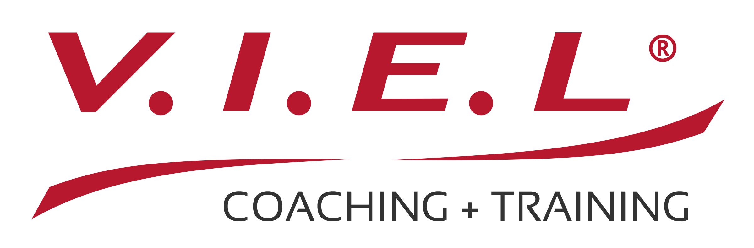 logo V.I.E.L® Coaching + Training